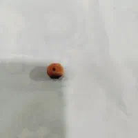 مهره تیربند جنس مخالف اصل اصل قدیمی کهنه|بدلیجات|یزد, |دیوار