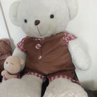 عروسک های فروشی