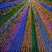 نورپردازی و ریسه ونوس|ریسه و چراغ تزئینی|بندرعباس, |دیوار