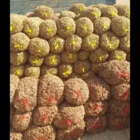 ۲تن پیاز داخل طوری اماده فروش|خوردنی و آشامیدنی|سبزوار, قصبه شرقی|دیوار