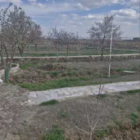 فروش ۲۰۰۰ متر باغ در چناران روستای حیطه طلا|فروش خانه و ویلا|گلبهار, نوبهار|دیوار