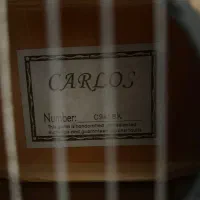 گیتار کارلوس وارداتی|گیتار، بیس، امپلیفایر|گرگان, |دیوار