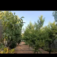 فروش-باغ-خان-خمیس