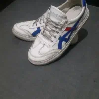 کتانی اسپرت