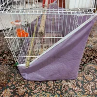 فروش قفس طوطی|لوازم جانبی حیوانات|لاهیجان, کوی زمانی|دیوار