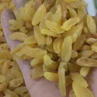 کشمش|خوردنی و آشامیدنی|مشهد, هنرور|دیوار