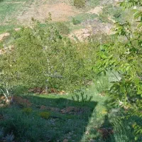 فروش باغ در سپیدان|فروش زمین و ملک کلنگی|سپیدان, |دیوار