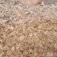 چرح نان