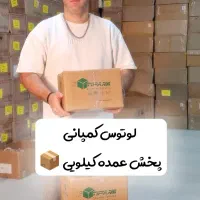 گوشواره زنانه