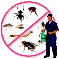 سمپاشی تضمینی ساس سم پاشی سوسک منازل