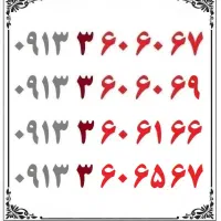 0913-3-60-61-66