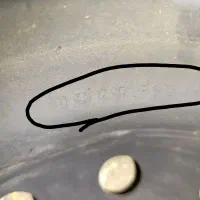 رینگ پانزده 12سوراخ اصل فابریک تویوتا درجه یک|قطعات یدکی و لوازم جانبی|زاهدان, |دیوار