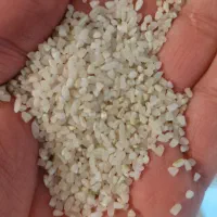 خورده برنج کامفیروزی