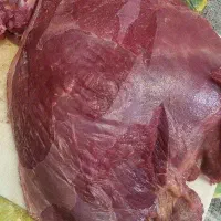 گوشت گوساله و گاو کشتار روز فاقد استخوان|خوردنی و آشامیدنی|تهران, خانیآباد|دیوار