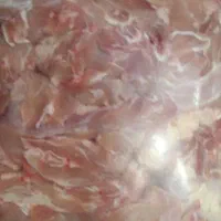 گوشواره مرغ بچه فیله|خوردنی و آشامیدنی|اصفهان, خواجو|دیوار