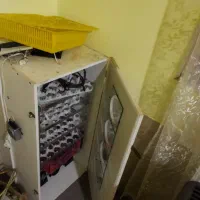دستگاه جوجه کشی