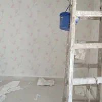 رنگکار ساختمان، نصاب کاغذدیواری|خدمات پیشه و مهارت|باغ ملک, |دیوار