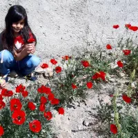 باغ ویلا فروشی