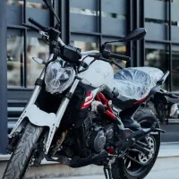 بنلی 300خشک