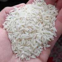 دونه سنگ طارم سورتینگ شده طارم هاشمی