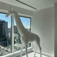 مجسمه زرافه جنس فایبرگلاس زیرقیمت