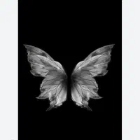 سفر وکافه گردی