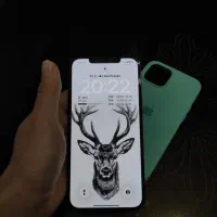 iphone 12 pro max / 256GB|موبایل|کرج, برغان|دیوار