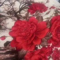 پتوی دونفره‌ی شادیلون|رختخواب، بالش، پتو|تهران, جوادیه تهرانپارس|دیوار