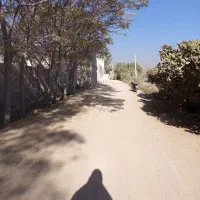 فروش کارگاه|فروش دفتر صنعتی، کشاورزی، تجاری|قلعه نو, |دیوار