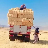 کلش|لوازم جانبی حیوانات|اسدآباد, |دیوار
