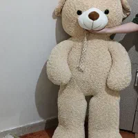 خرس شاسخین|اسباب‌‌بازی|ابهر, |دیوار