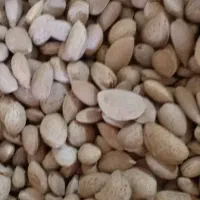 فروش بادام سنگی و اذر