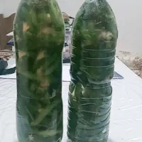 خیارشور|خوردنی و آشامیدنی|سوق, |دیوار