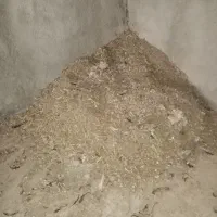 کود مرغی|حیوانات مزرعه|شیراز, کوشک بیدک|دیوار