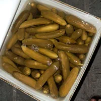 خیارشور اویژگان B