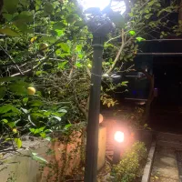 چراغ و پایه برای فضای باز|لامپ و چراغ|نوشهر, |دیوار