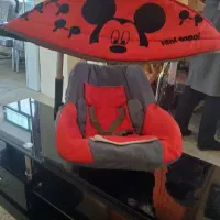 کالسکه و کریر|کالسکه و لوازم جانبی|مشهد, فلسطین|دیوار