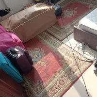 فرش ، گلیم فرش|فرش|رشت, کوی مهر|دیوار