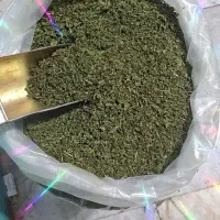 خشک شده