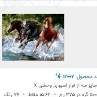 نخ و نقشه طرح فرار اسبهای وحشی