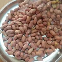 بادام زمینی دشت مغان تازه تازه ترد و خوشمزه|خوردنی و آشامیدنی|اسلام‌شهر, شهرک محمدیه|دیوار