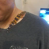 گکو کاملا سالم ( مورف کمیاب )