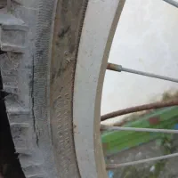 دوچرخه قناری|دوچرخه، اسکیت، اسکوتر|بندر انزلی, پیل علی باغ|دیوار