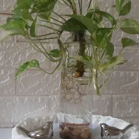 بافت انواع سبدایه تریکو|صنایع دستی و سایر لوازم تزئینی|مینودشت, |دیوار