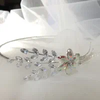 رگال و ماکن وتاج|لباس|اردکان, |دیوار