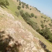بره ریز