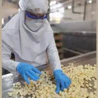 پذیرش کارگر