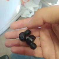 ایرپاد|لوازم جانبی موبایل و تبلت|تهران, جمال‌زاده|دیوار