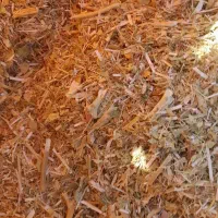 کاه ماشک و لوبیا|خدمات باغبانی و درختکاری|دهدشت, |دیوار