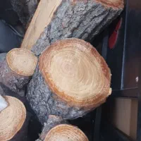 خدمات برش چوب در محل و منزل شما